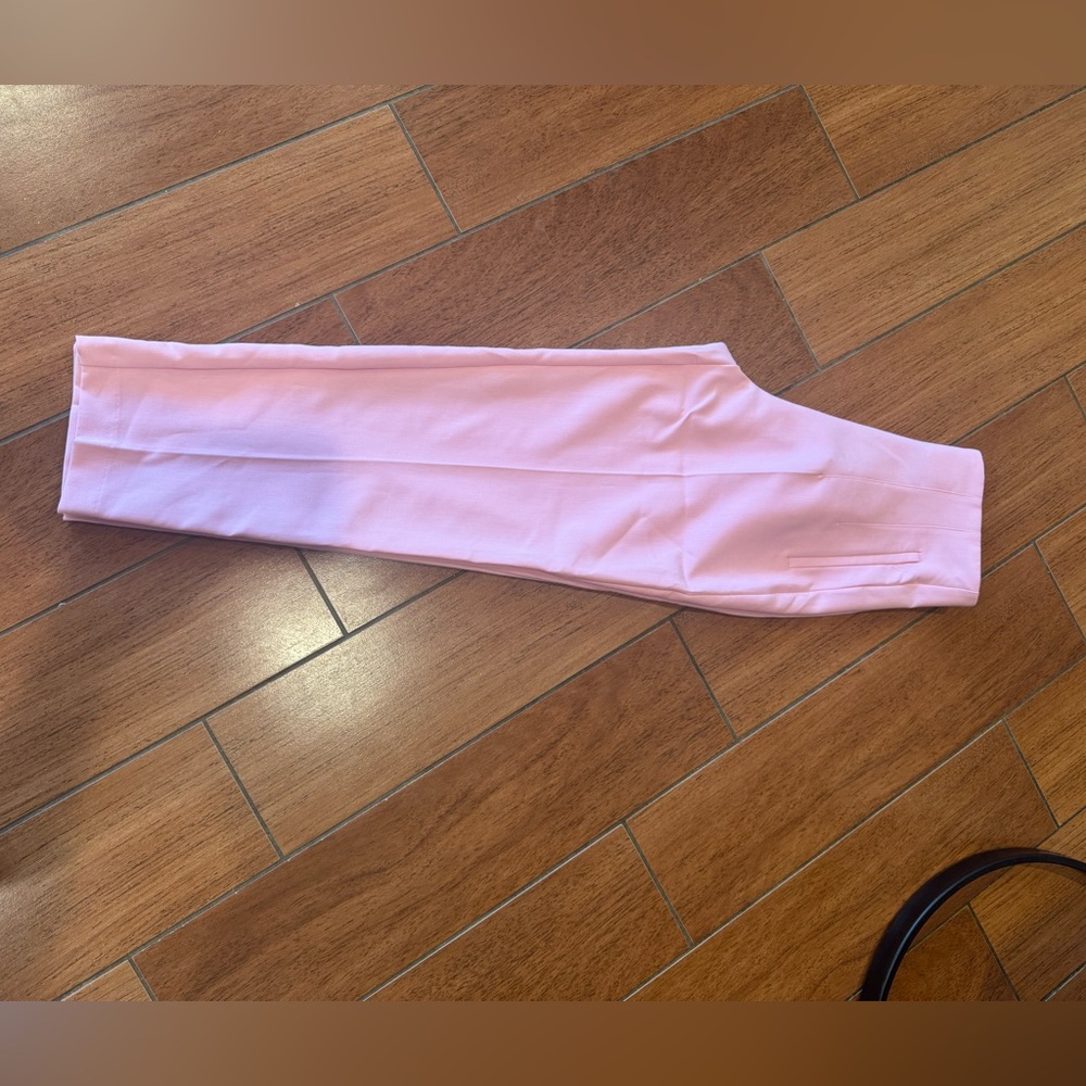 Zara Pink dress pants